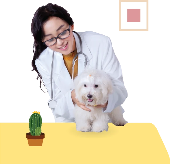 doctor and dog